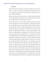 Phát triển ưu điểm của nền kinh tế hàng hóa nhiều thành phần - 1 docx