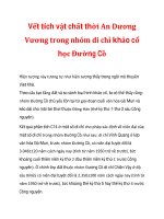 Vết tích vật chất thời An Dương Vương trong nhóm di chỉ khảo cổ học Đường Cồ_2 pptx