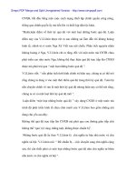 Giải pháp cho các hoạt động kinh tế khi chọn đi lên CNXH ở Việt Nam -2 potx