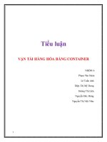 Vận tải hàng hóa bằng container