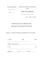 MẪU ĐƠN ĐỀ NGHỊ CẤP LẠI GIẤY PHÉP NHẬP KHẨU THIẾT BỊ PHÁT, THU-PHÁT SÓNG VÔ TUYẾN ĐIỆN pps