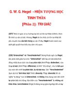 G. W. G. Hegel - HIỆN TƯỢNG HỌC TINH THẦN [Phần 2]: TRI GIÁC_6 pot