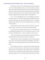 Phát triển ưu điểm của nền kinh tế hàng hóa nhiều thành phần –4 pdf