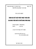 Đánh giá kết quả phẫu thuật tháo dầu silicone trên mắt đã mổ bong võng mạc