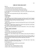 Bài giảng nội khoa : CƠ XƯƠNG KHỚP part 4 pps