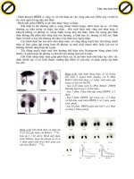 Giáo trình hướng dẫn phân tích thăm dò chức năng nguyên tử đồng vị bằng phóng xạ p2 doc