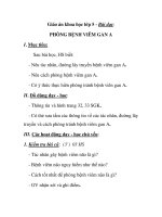 Giáo án khoa học lớp 5 - Bài dạy: PHÒNG BỆNH VIÊM GAN A docx