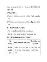 Giáo án tiếng việt lớp 5 – Chính tả: CÁNH CAM LẠC MẸ pptx