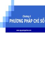 nguyễn lý thống kê phương pháp chỉ số