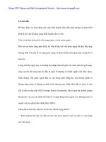 Kinh nghiệm thu hút FDI của các nước và vận dụng vào Việt Nam - 1 pot