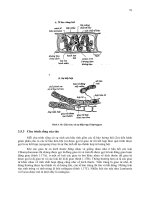Sinh học đại cương part 4 ppsx