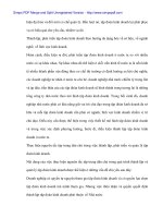 Tính tất yếu khách quan và con đường hình thành công ty mẹ - con ở Việt Nam - 7 potx