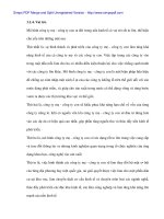 Tính tất yếu khách quan và con đường hình thành công ty mẹ - con ở Việt Nam - 2 pdf