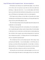 Các quan điểm về Doanh nghiệp nhà nước và giải pháp cho Việt Nam - 2 doc