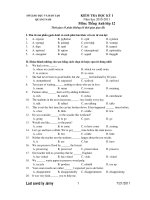 KIỂM TRA HỌC KỲ I Năm học 2010-2011 Môn: Tiếng Anh lớp 12 docx