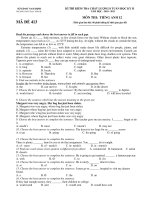 KÌ THI KIỂM TRA CHẤT LƯỢNG 8 TUẦN HỌC KỲ II NĂM HỌC : 2010 - 2011 MÔN THI: TIẾNG ANH 12 MÃ ĐỀ 413 pps