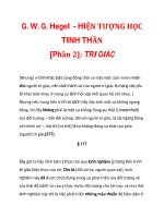G. W. G. Hegel - HIỆN TƯỢNG HỌC TINH THẦN [Phần 2]: TRI GIÁC_2 pot