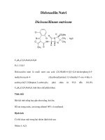 Dicloxacilin Natri docx