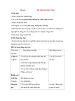 Giáo án Tập đọc lớp 3: Đề bài: BÉ THÀNH PHI CÔNG docx