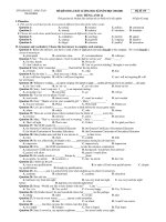 ĐỀ KIỂM TRA CHẤT LƯỢNG HỌC KÌ I NĂM HỌC 2010-2011 MÔN: TIẾNG ANH ppsx