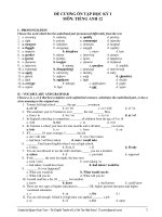 ĐỀ CƯƠNG ÔN TẬP HỌC KỲ I MÔN: TIẾNG ANH 12 pps