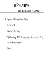 bài giảng hẹp van động mạch chủ