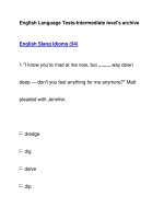 English Language Tests-Intermediate level''''s archiveEnglish Slang Idioms (54) pptx