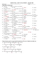 KIỂM TRA ANH VĂN 45 PHÚT - Mã đề: 001 potx