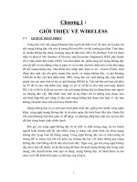 Mạng không dây - Chương 1 pps