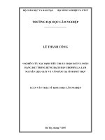 Nghiên cứu xác định tiêu chuẩn chọn đất và phân hạng đất tròng rừng bạch đàn UROPHYLLA làm nguyên liệu giấy và ván dăm tại tỉnh Phú Thọ