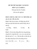 ĐỀ THI THỬ ĐẠI HỌC CAO ĐẲNG MÔN VẬT LÝ . pptx