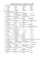 ĐỀ THI THỬ HSG CẤP TRƯỜNG NĂM 2011 potx