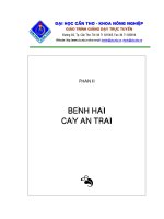 Bài giảng bệnh chuyên khoa nông nghiệp : BỆNH HẠI CAM QUÍT part 1 ppt