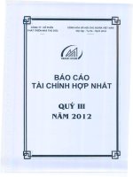 công ty phát triển nhà thủ đức báo cáo tài chính hợp nhất quý 3 năm 2012