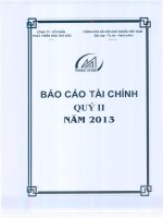 công ty phát triển nhà thủ đức báo cáo tài chính quý 2 năm 2013