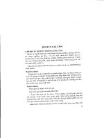 Sổ tay điều trị một số bệnh phổ biến ở vật nuôi part 8 pps