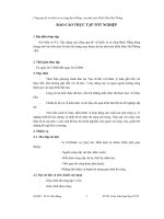 Đề tài cống qua đê và kênh xả ra sông bạch đằng của nhà máy nhiệt điện hải phòng