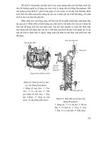 Các quá trình và thiết bị công nghệ sinh học : THIẾT BỊ VẮT, TRÍCH LY, TINH CHẾ CÁC SẢN PHẨM THU NHẬN TỪ PHƯƠNG PHÁP TỔNG HỢP VI SINH part 4 ppsx