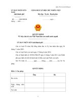 MẪU QUYẾT ĐỊNH Về việc cho trẻ em Việt Nam làm con nuôi nước ngoài ppsx