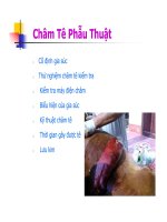 Bài giảng châm cứu thú y part 9 docx