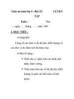 Giáo án toán lớp 5 - Bài 23: LUYỆN TẬP ppsx