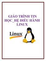 GIÁO TRÌNH TIN HỌC_HỆ ĐIỀU HÀNH LINUX docx