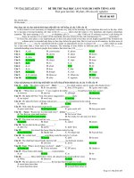 ĐỀ THI THỬ ĐẠI HỌC LẦN I NĂM 2011 MÔN TIẾNG ANH - Mã đề thi 485 pps
