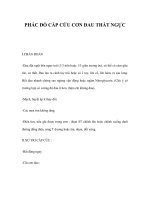 PHÁC ĐỒ CẤP CỨU CƠN ĐAU THẮT NGỰC doc