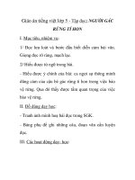 Giáo án tiếng việt lớp 5 - Tập đọc: NGƯỜI GÁC RỪNG TÍ HON docx