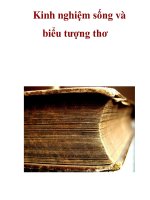 Kinh nghiệm sống và biểu tượng thơ _3 ppsx