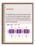 Đại cương về Mô và Phôi : MÔ CƠ (Muscle Tissue) part 2 potx