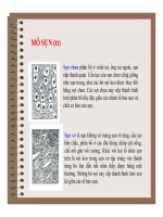 Đại cương về Mô và Phôi : Mô liên kết part 4 doc