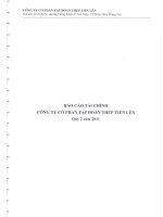 Công ty cổ phần tập đoàn thép tiến lên báo cáo tài chính quý 2 năm 2011
