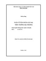 tóm tắt luận án tiến sĩ toán tử tích phân cực đại trên trường địa phương